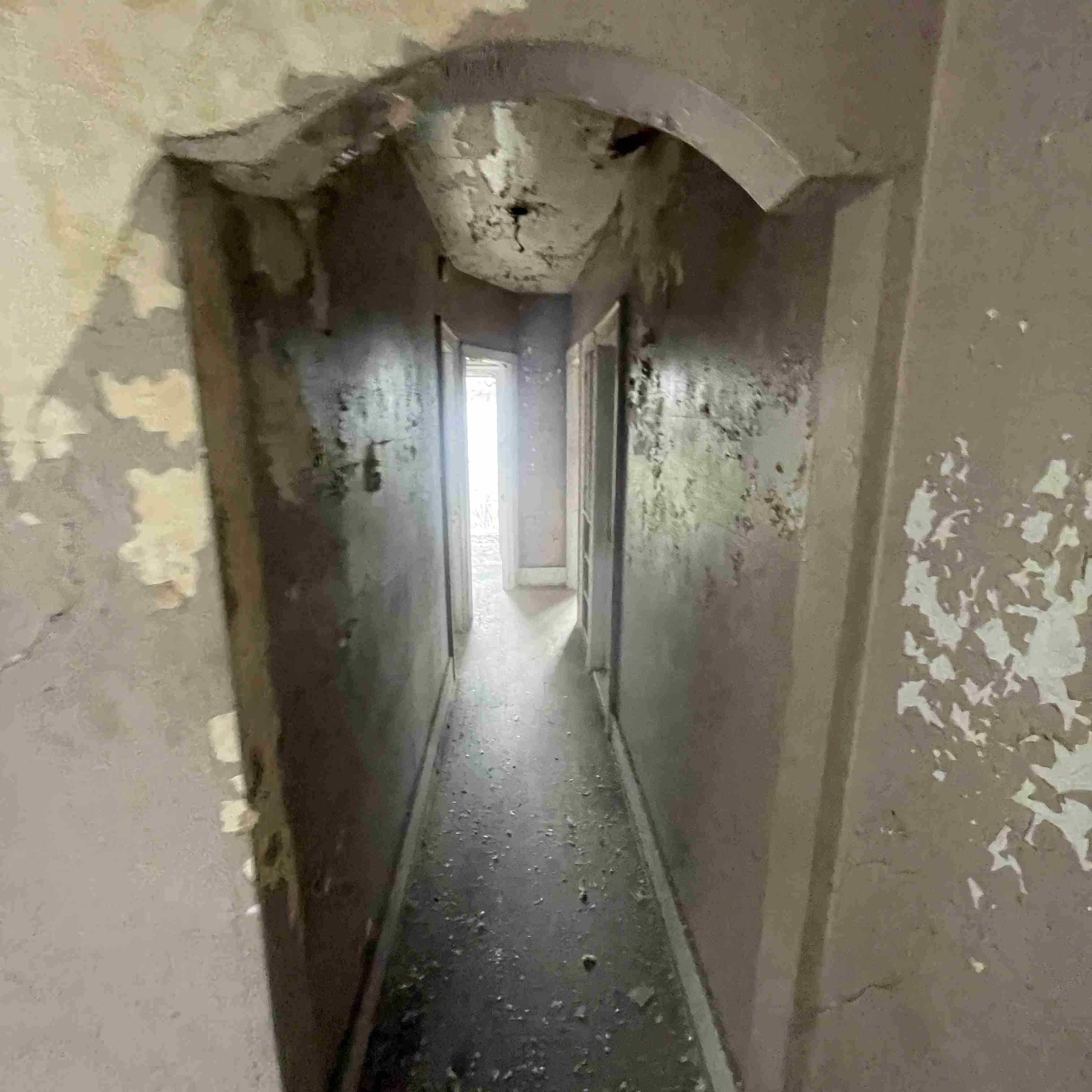 4039 Tuxedo (31).jpg